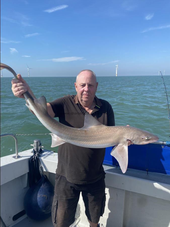 13 lb 6 oz Smooth-hound by Alphy
