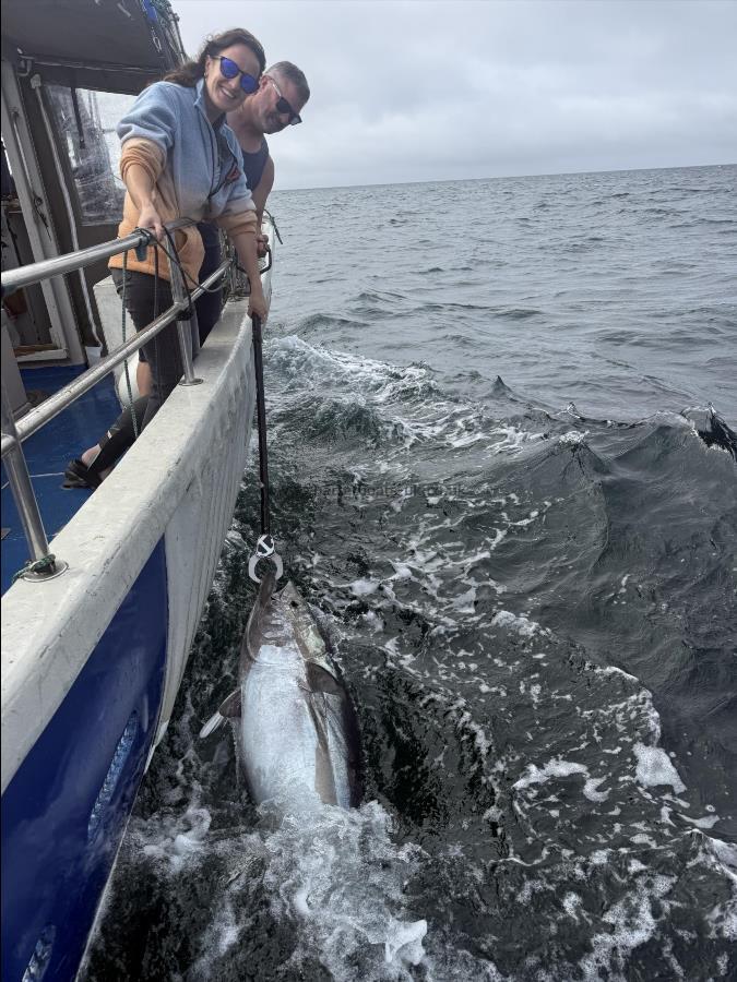1 lb Bluefin Tuna by Zoe