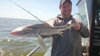 8 lb 6 oz Starry Smooth-hound by Marvin from Ramsgate