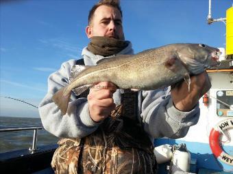 3 lb 11 oz Cod by Stuart