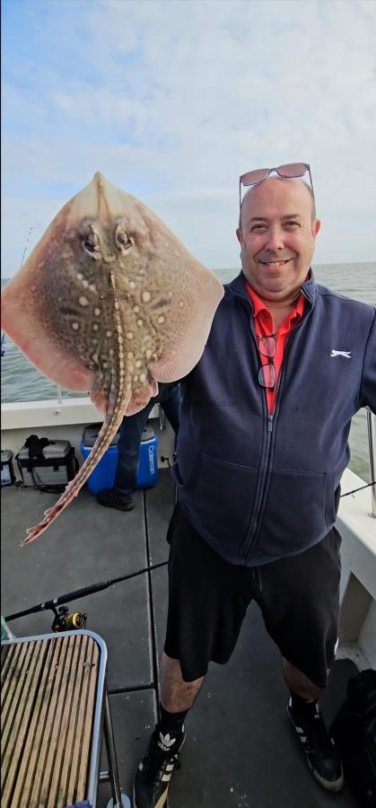 5 lb Thornback Ray by Steve