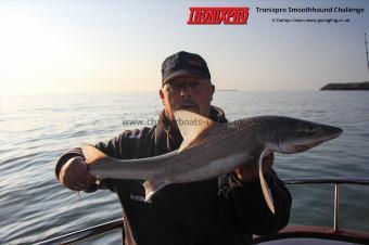 9 lb Starry Smooth-hound by Brooksy