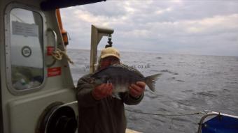 3 lb 6 oz Black Sea Bream by Stephen Wake