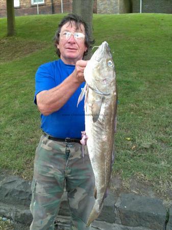 12 lb 2 oz Cod by roy tipple