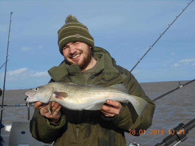 4 lb Cod by Craig