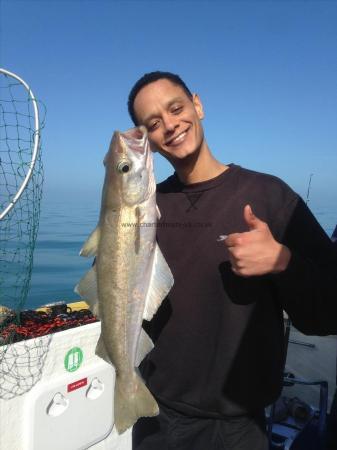 6 lb Pollock by Dave's budy