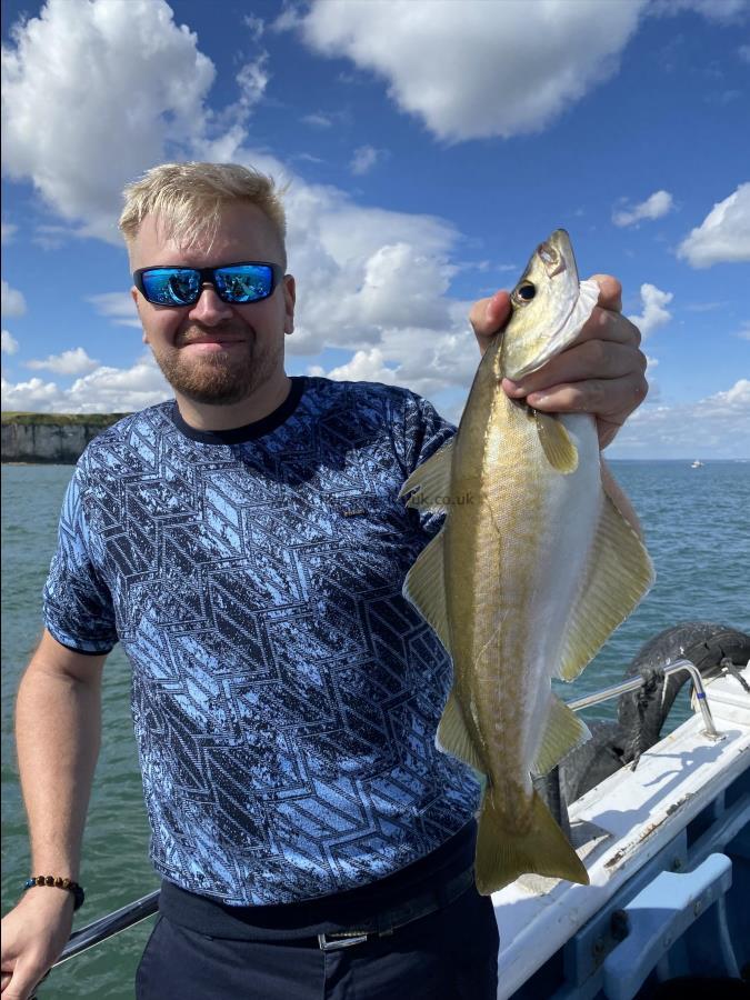 3 lb Pollock by Demitrus pollock fishing