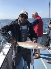 6 lb 7 oz Smooth-hound (Common) by Mr R