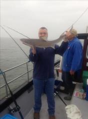 11 lb 3 oz Starry Smooth-hound by Peter franklin