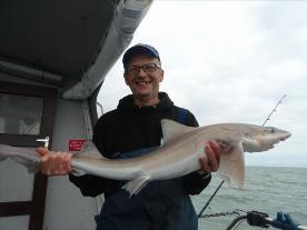 2 oz Smooth-hound by Unknown