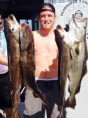 1 lb Pollock by Unknown