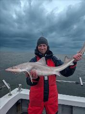11 lb Smooth-hound by Wayne