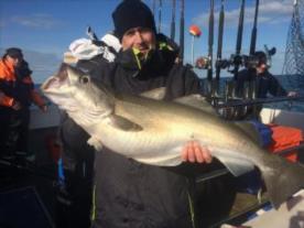 16 lb 11 oz Pollock by Charlie