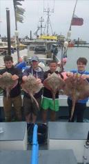 25 lb Common Skate by Jack, Jay, unknown, unknown