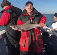 8 lb Smooth-hound (Common) by Unknown