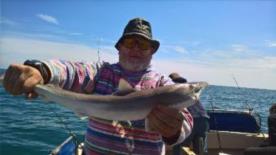 7 lb Smooth-hound (Common) by Stephen Wake