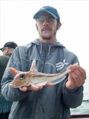 12 oz Grey Gurnard by Monty Burns