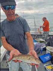 1 lb 3 oz Cod by Mick