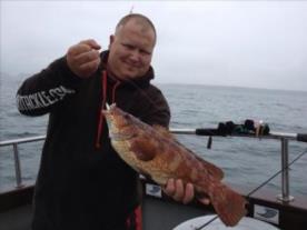 4 lb Ballan Wrasse by Marc C
