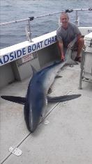 130 lb Blue Shark by Unknown