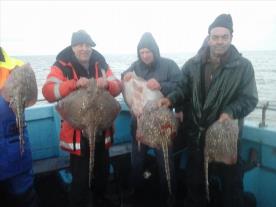 11 lb Thornback Ray by Loyds party