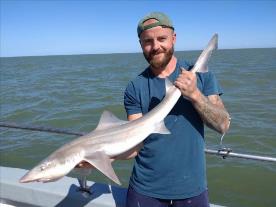 8 lb Smooth-hound (Common) by Gary