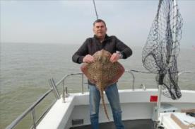 13 lb 5 oz Thornback Ray by Unknown