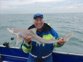 10 lb Smooth-hound (Common) by Ted