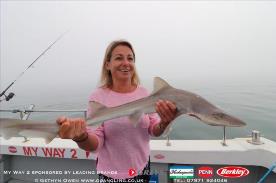 6 lb Starry Smooth-hound by Vicky