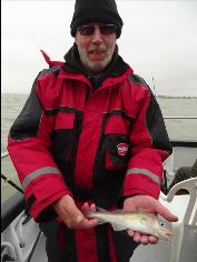 20 oz Cod by Unknown