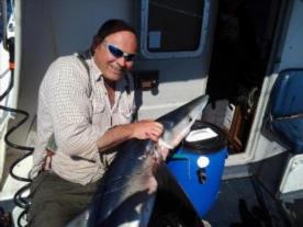 60 lb Blue Shark by skipper