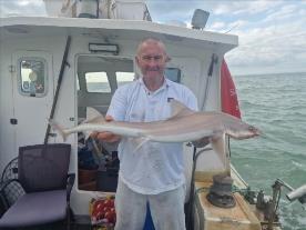 10 lb Starry Smooth-hound by Skipper Jay