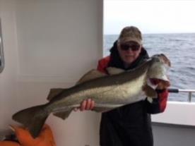 15 lb Pollock by Roger Knights