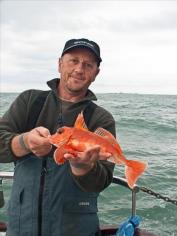 1 lb Red Gurnard by Mike Butterworth