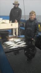 3 lb Pollock by Unknown