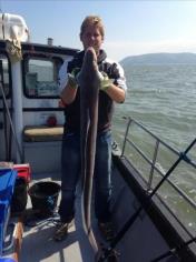 25 lb Conger Eel by Tom wright