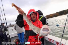 7 lb Bull Huss by Neil