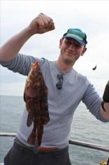 3 lb Ballan Wrasse by Mick