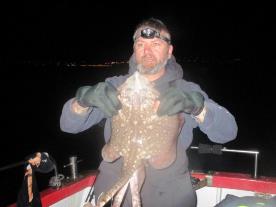 5 lb Thornback Ray by Chis