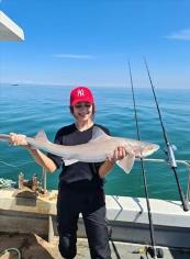 12 lb Smooth-hound by Lydia