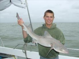 13 lb 4 oz Smooth-hound by scott belbin