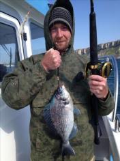 2 lb Black Sea Bream by Orson