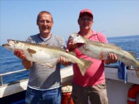 13 lb 6 oz Pollock by Pete and Neil