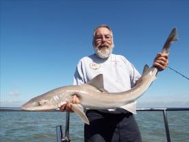 2 oz Smooth-hound by Unknown
