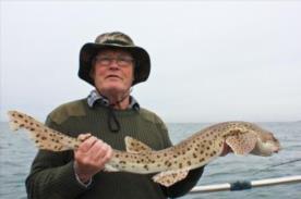 8 lb Bull Huss by Keith