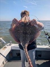 8 lb Thornback Ray by Unknown