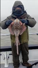 2 oz Thornback Ray by Unknown
