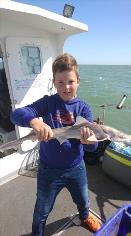 3 lb Smooth-hound by Oakley