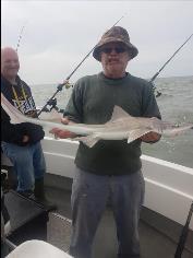5 lb Starry Smooth-hound by Eric wright