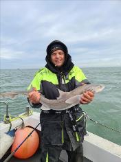 7 lb Smooth-hound by Paul 'Beaver' Beavis